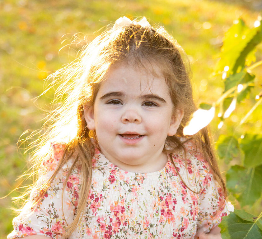 Сильвия Сент фильмдері онлайн